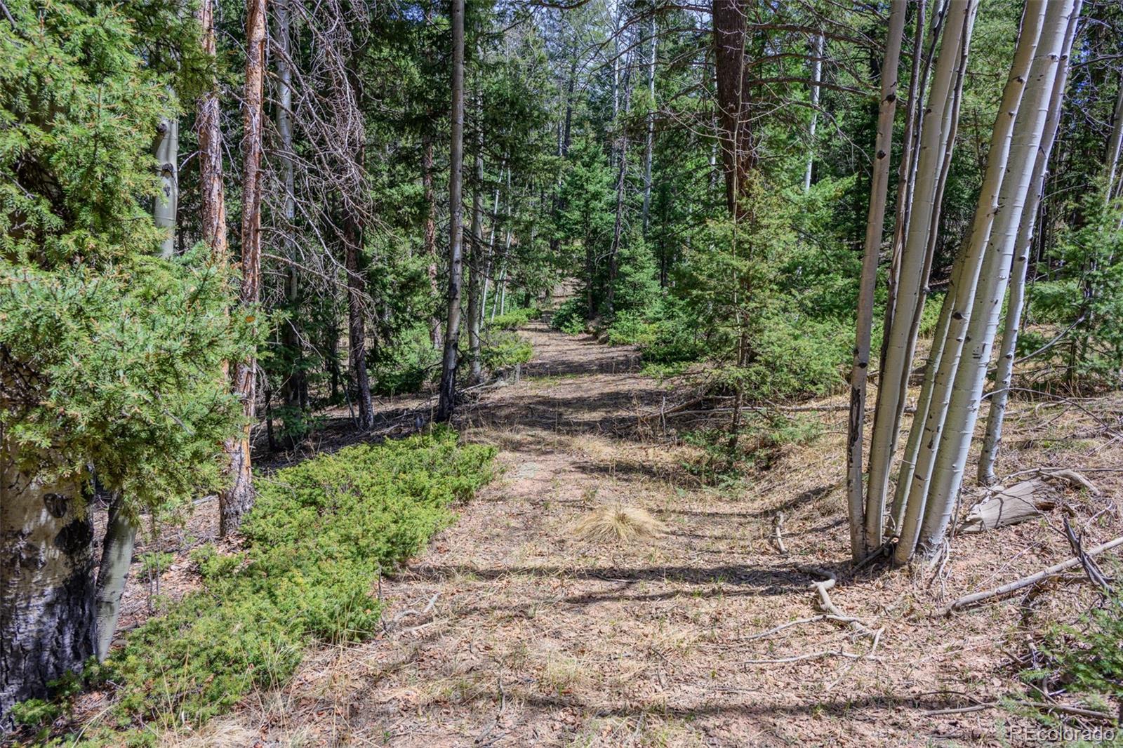 2763 N Mountain Estates Road Florissant CO 80816