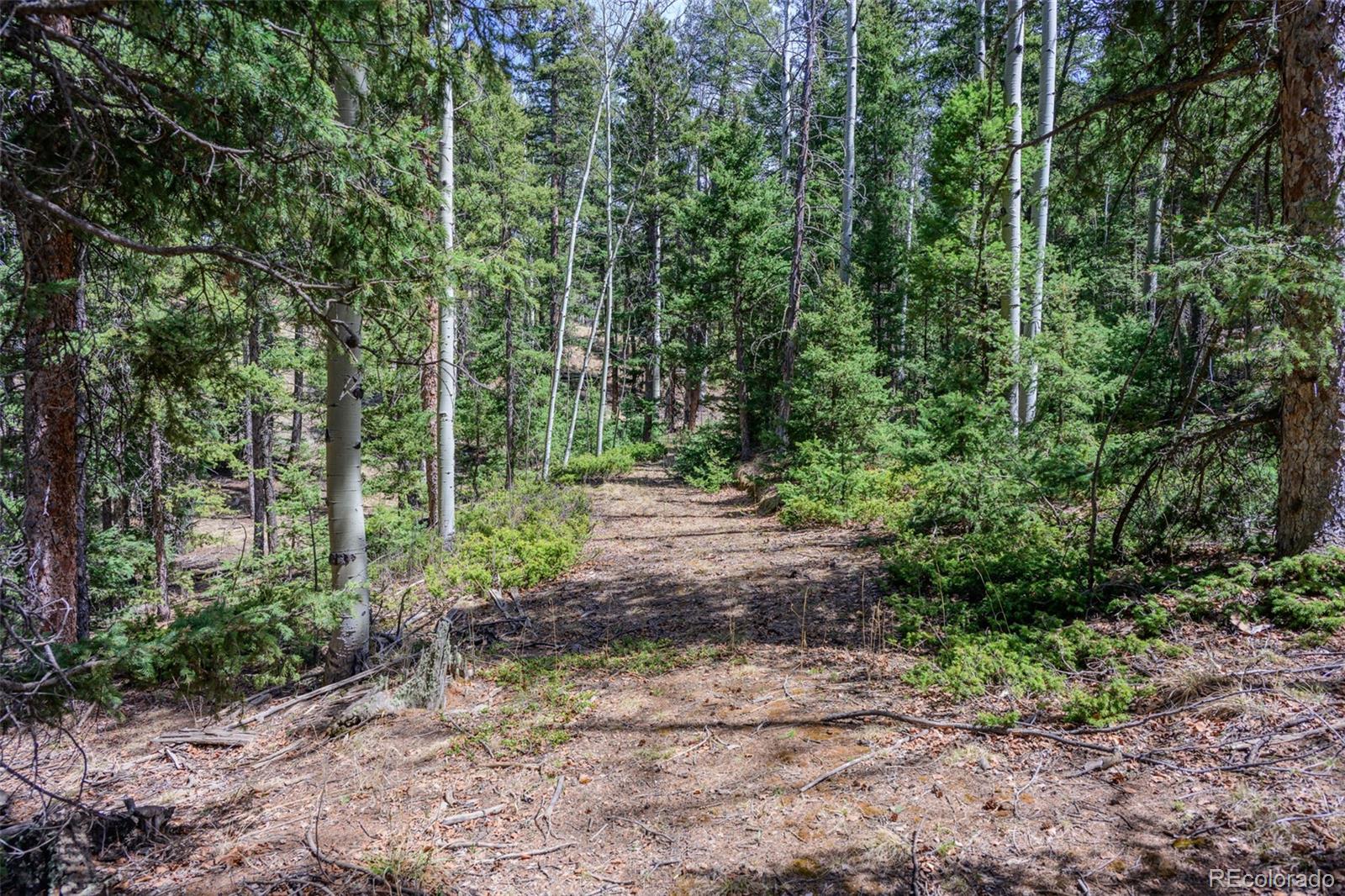 2763 N Mountain Estates Road Florissant CO 80816