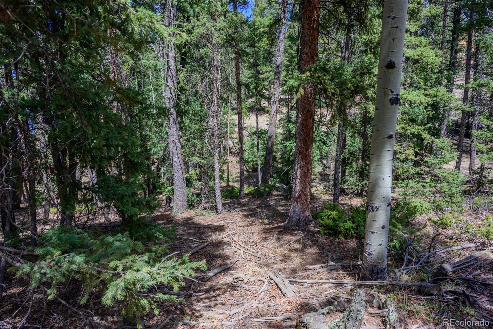 2763 N Mountain Estates Road Florissant CO 80816