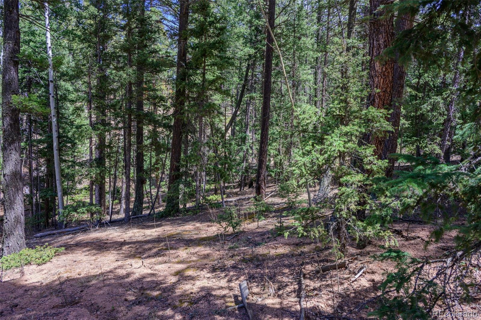 2763 N Mountain Estates Road Florissant CO 80816