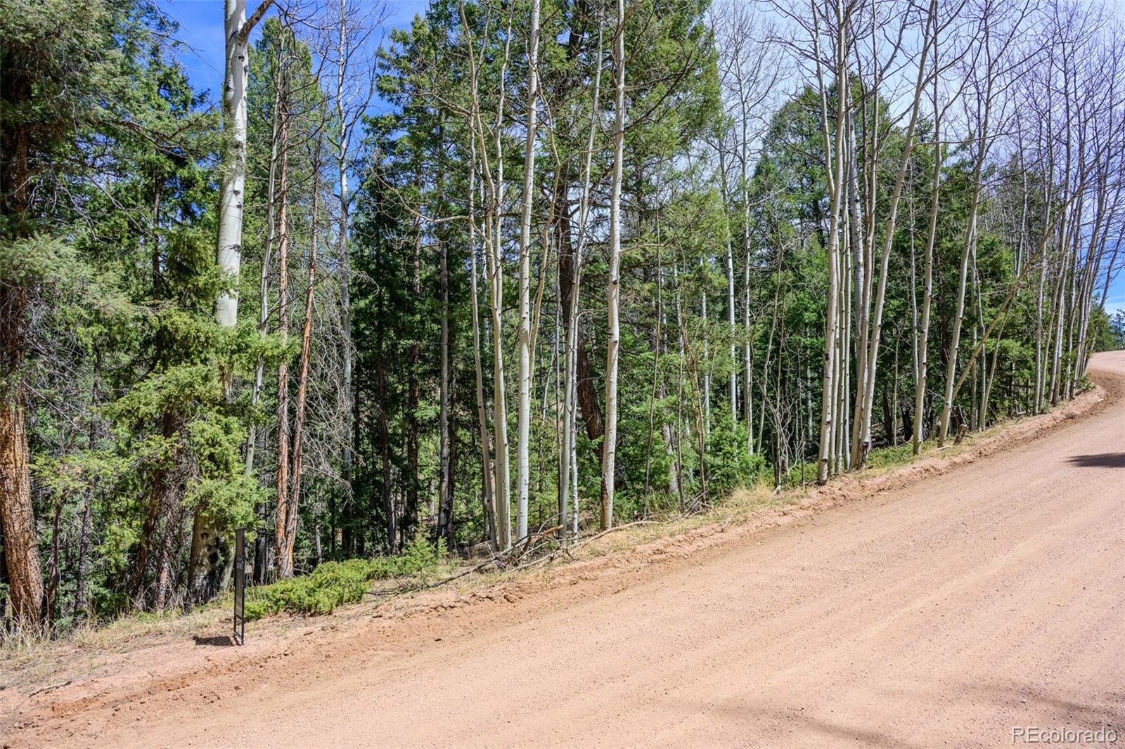 2763 N Mountain Estates Road Florissant CO 80816