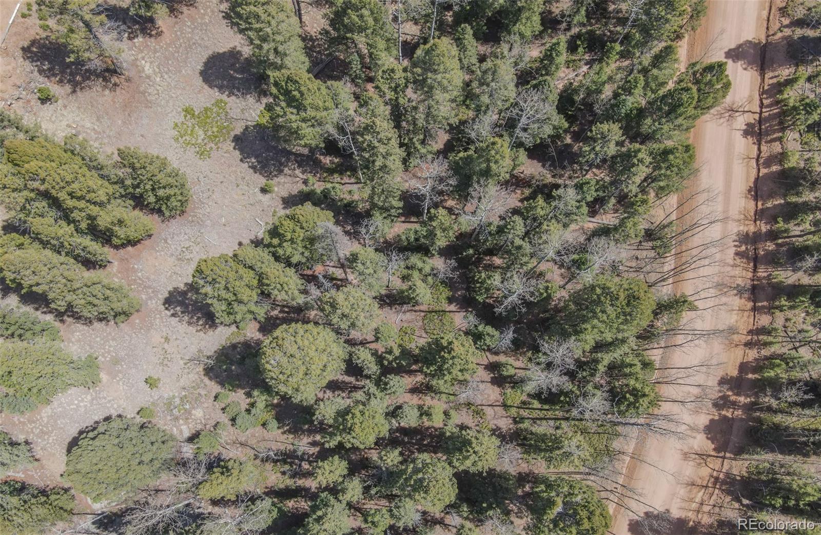 2763 N Mountain Estates Road Florissant CO 80816