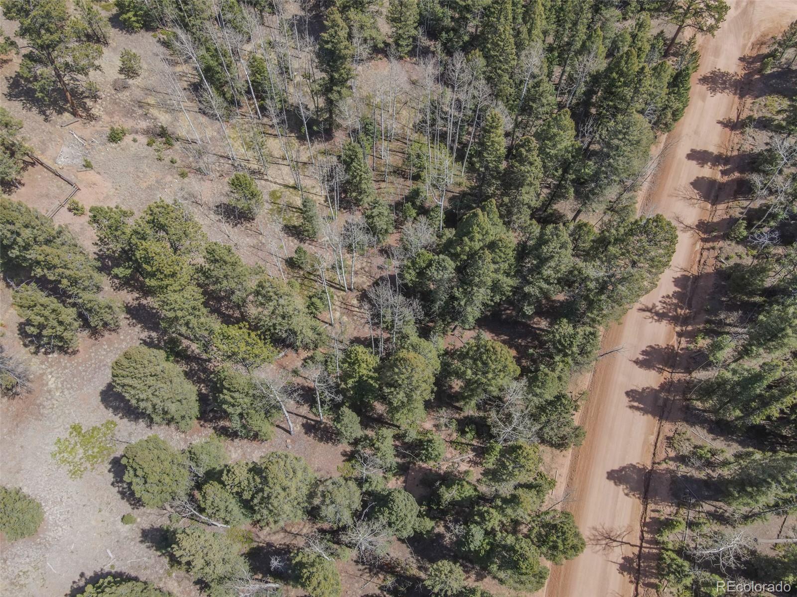 2763 N Mountain Estates Road Florissant CO 80816