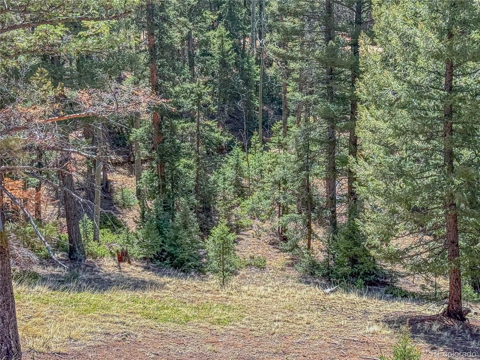 2763 N Mountain Estates Road Florissant CO 80816