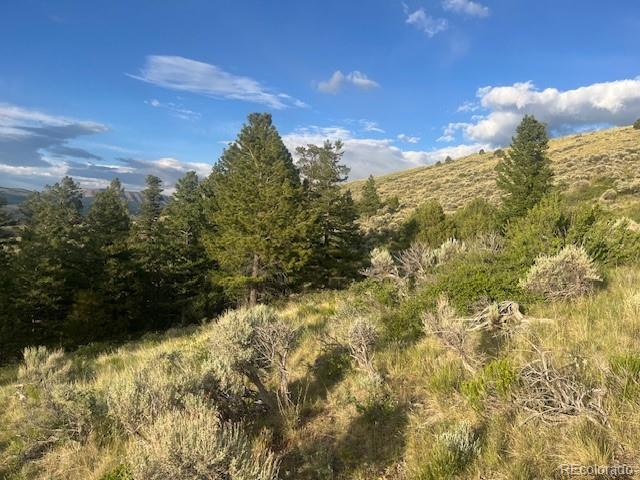 Lot 4630 Spring Road Fort Garland CO 81133