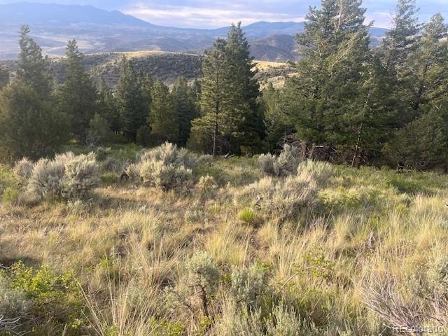 Lot 4630 Spring Road Fort Garland CO 81133