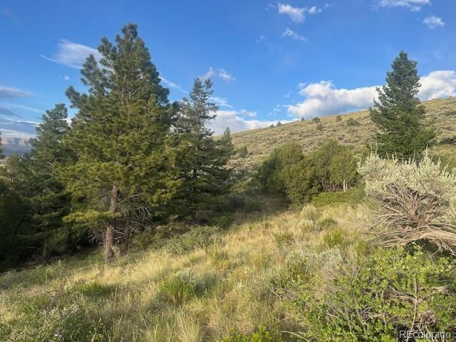 Lot 4630 Spring Road Fort Garland CO 81133