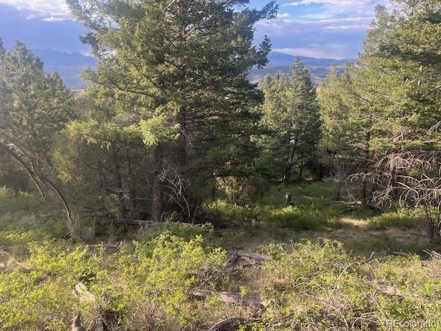 Lot 4630 Spring Road Fort Garland CO 81133