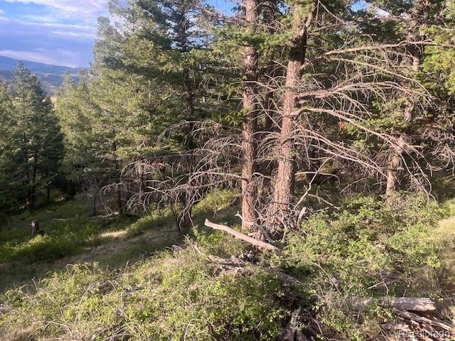Lot 4630 Spring Road Fort Garland CO 81133