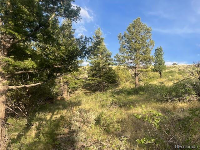 Lot 4630 Spring Road Fort Garland CO 81133