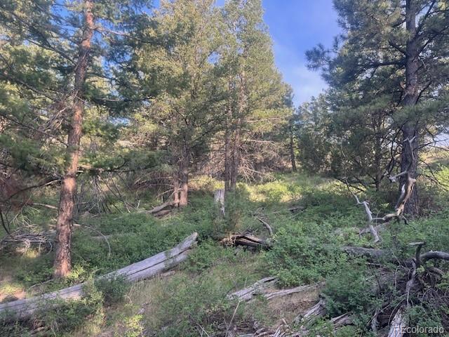 Lot 4630 Spring Road Fort Garland CO 81133