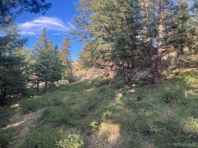 Lot 4630 Spring Road Fort Garland CO 81133