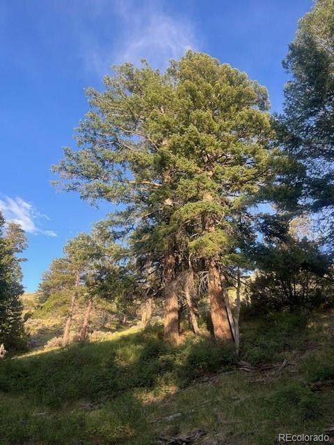 Lot 4630 Spring Road Fort Garland CO 81133