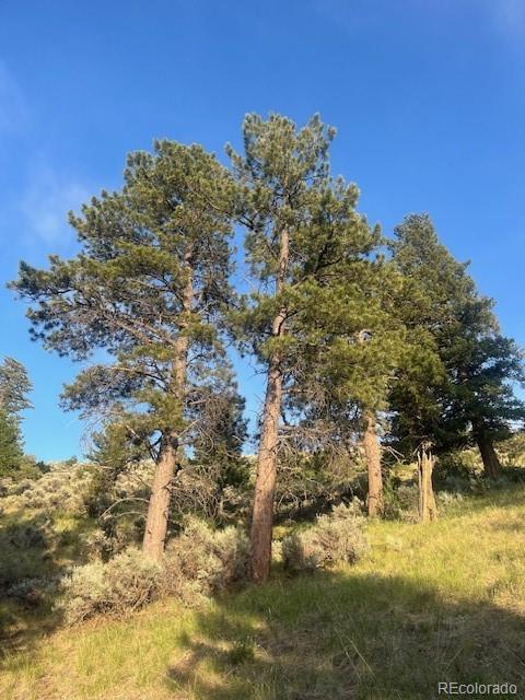 Lot 4630 Spring Road Fort Garland CO 81133