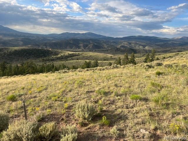 Lot 4630 Spring Road Fort Garland CO 81133