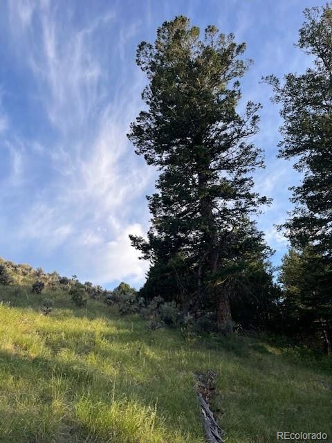 Lot 4630 Spring Road Fort Garland CO 81133