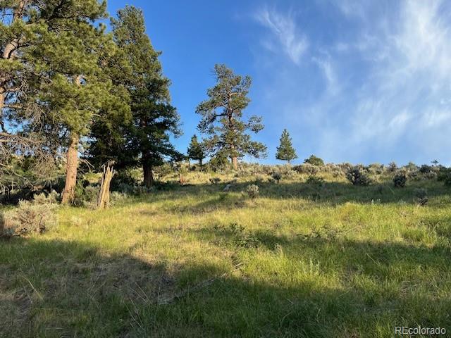 Lot 4630 Spring Road Fort Garland CO 81133