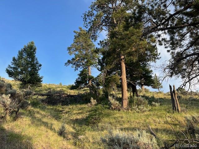 Lot 4630 Spring Road Fort Garland CO 81133