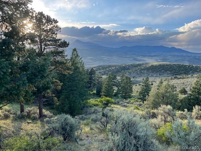 Lot 4630 Spring Road Fort Garland CO 81133