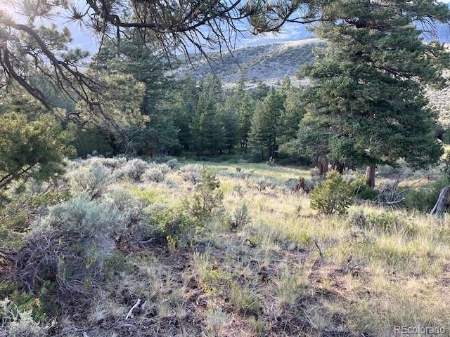 Lot 4630 Spring Road Fort Garland CO 81133