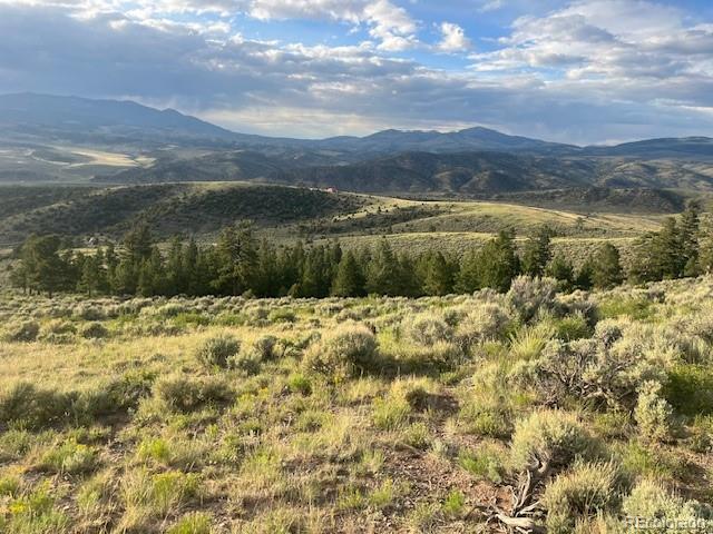 Lot 4630 Spring Road Fort Garland CO 81133