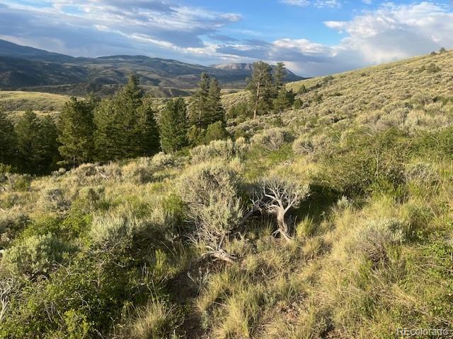 Lot 4630 Spring Road Fort Garland CO 81133