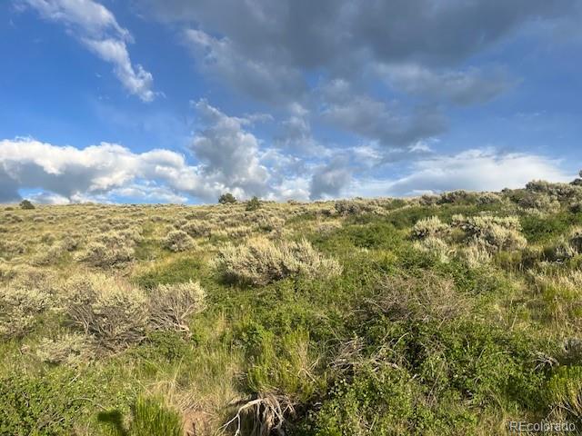 Lot 4630 Spring Road Fort Garland CO 81133