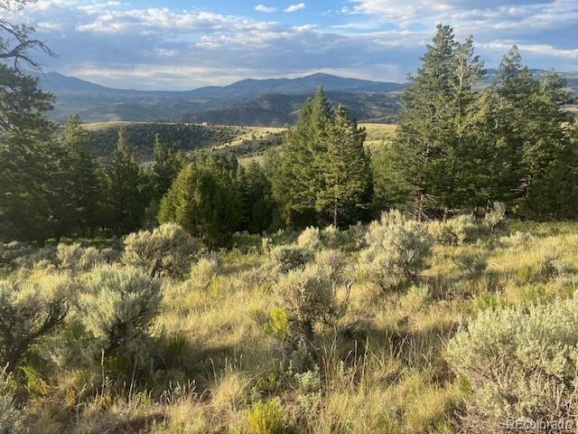 Lot 4630 Spring Road Fort Garland CO 81133