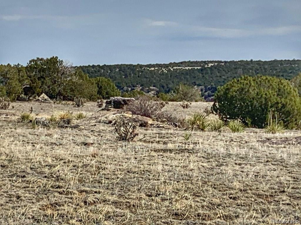 Lot 80 Turkey Ridge Ranch Walsenburg CO 81089