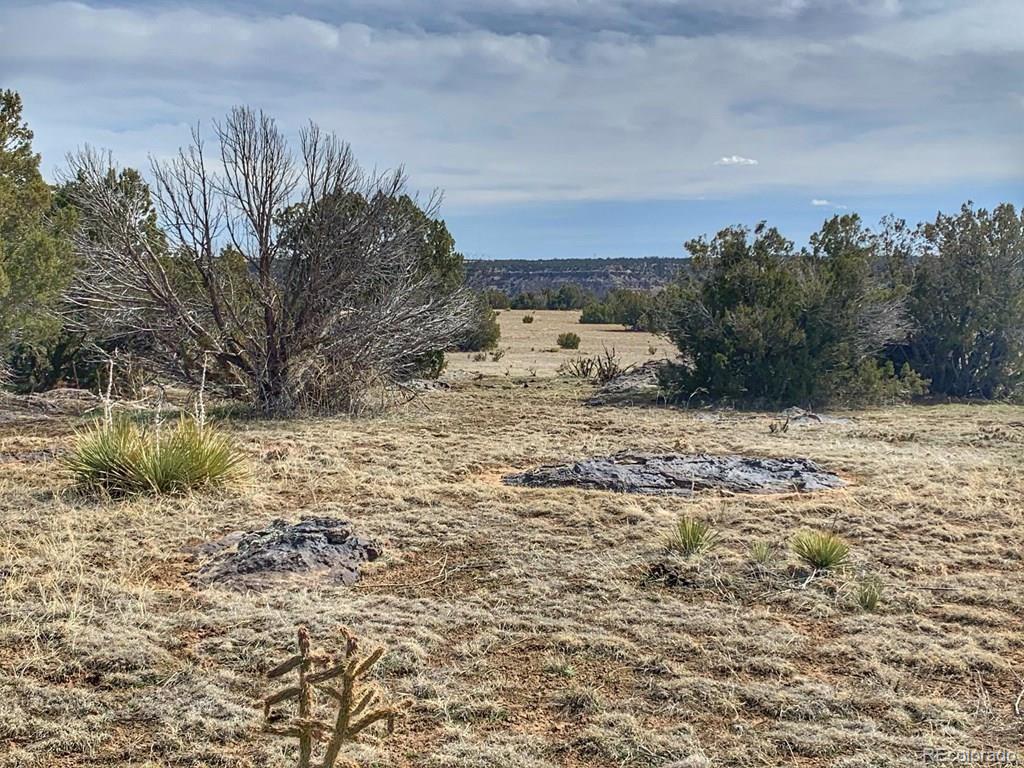 Lot 80 Turkey Ridge Ranch Walsenburg CO 81089