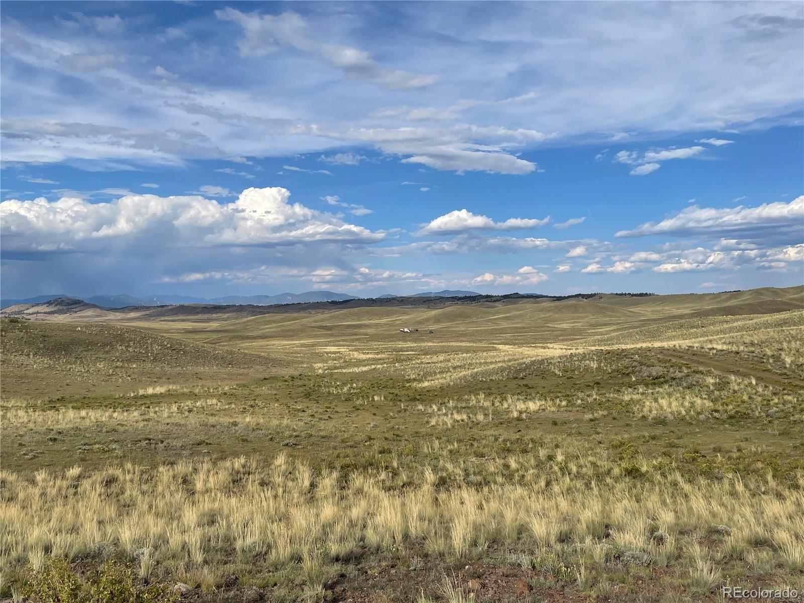 000 Taos Trail Hartsel CO 80449
