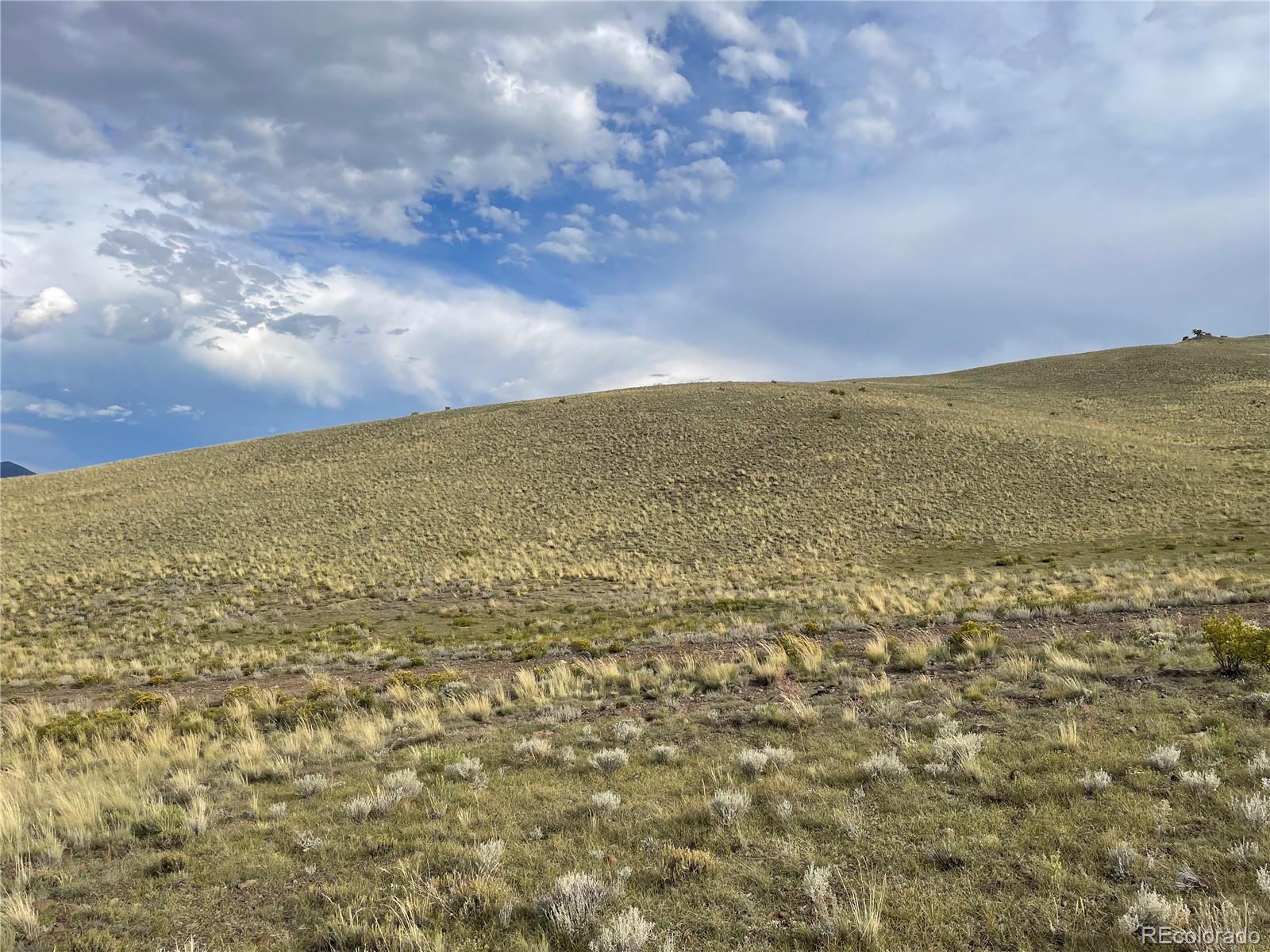 000 Taos Trail Hartsel CO 80449