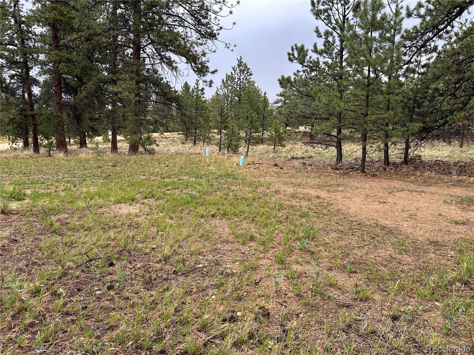 120 Harness Way Hartsel CO 80449