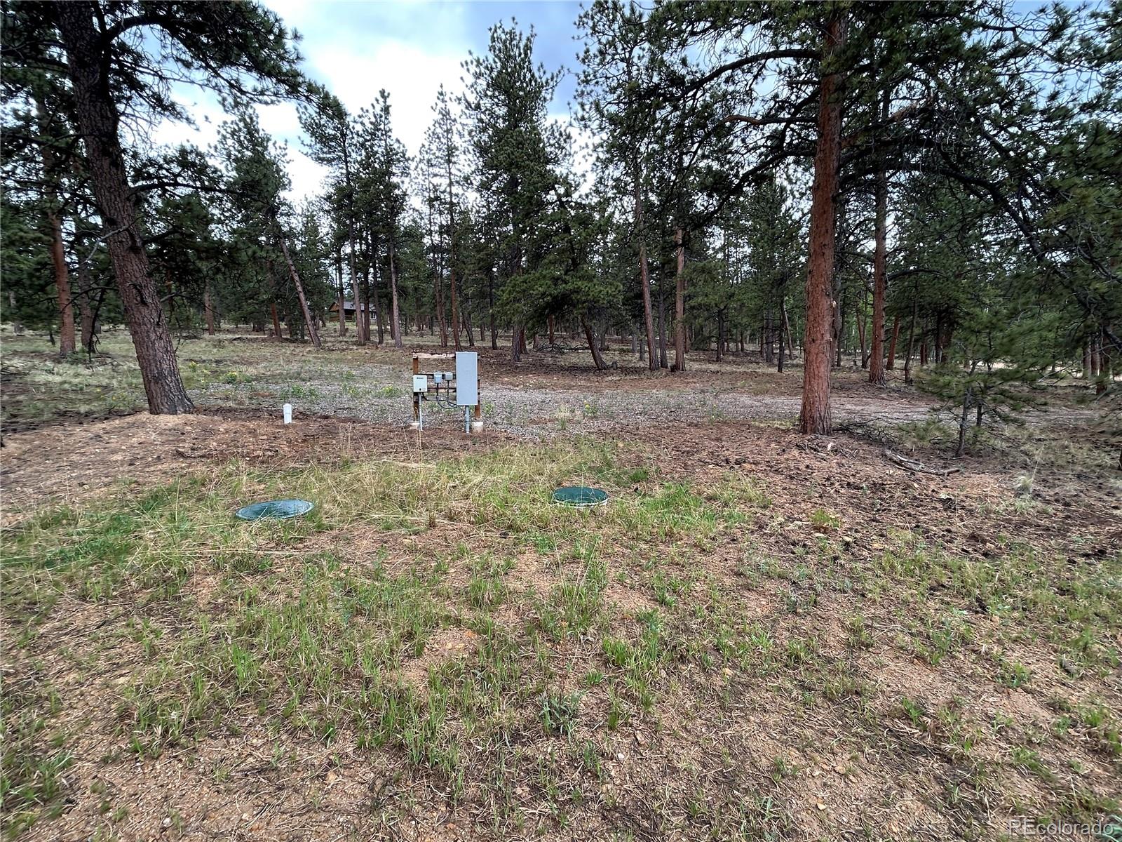 120 Harness Way Hartsel CO 80449