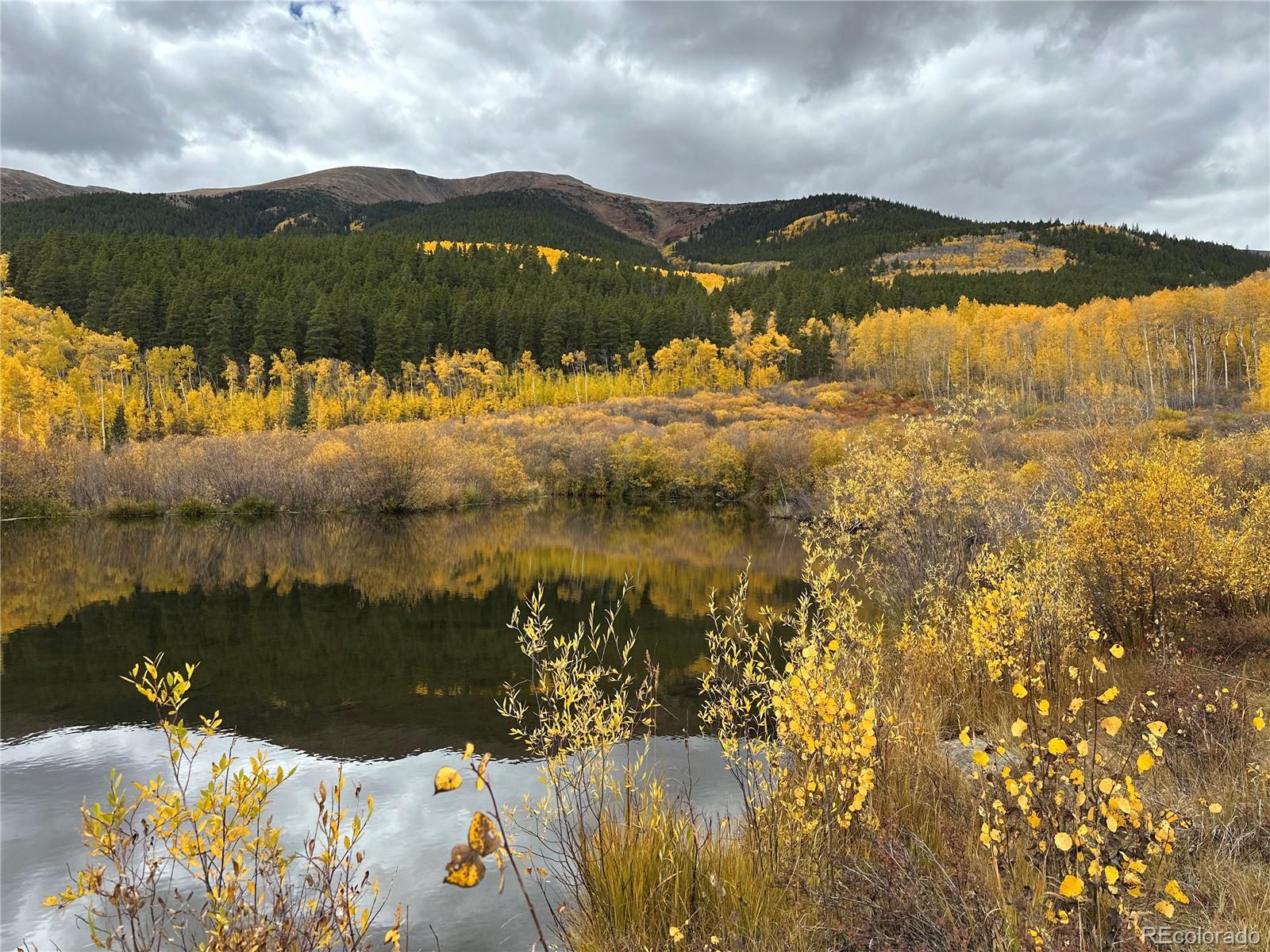 1111 George Safken Road Twin Lakes CO 81251