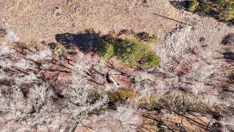 16953 County Road 306 Buena Vista CO 81211