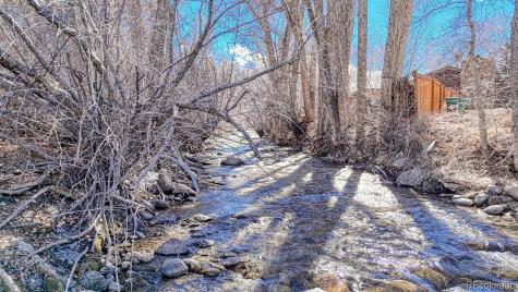 16953 County Road 306 Buena Vista CO 81211