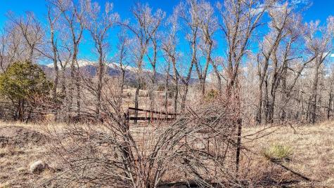 16953 County Road 306 Buena Vista CO 81211
