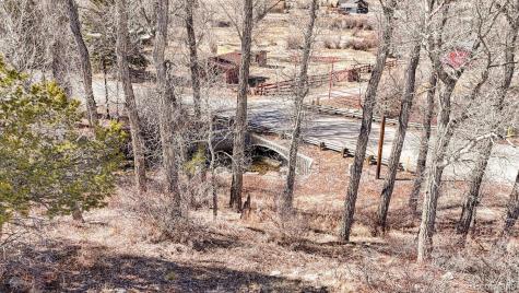 16953 County Road 306 Buena Vista CO 81211