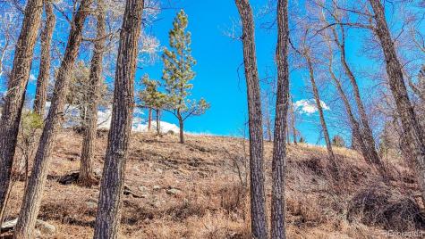 16953 County Road 306 Buena Vista CO 81211