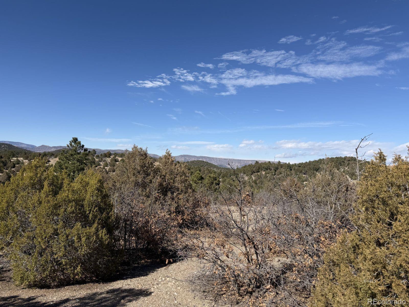 3412 Indian Wells Road Cotopaxi CO 81223