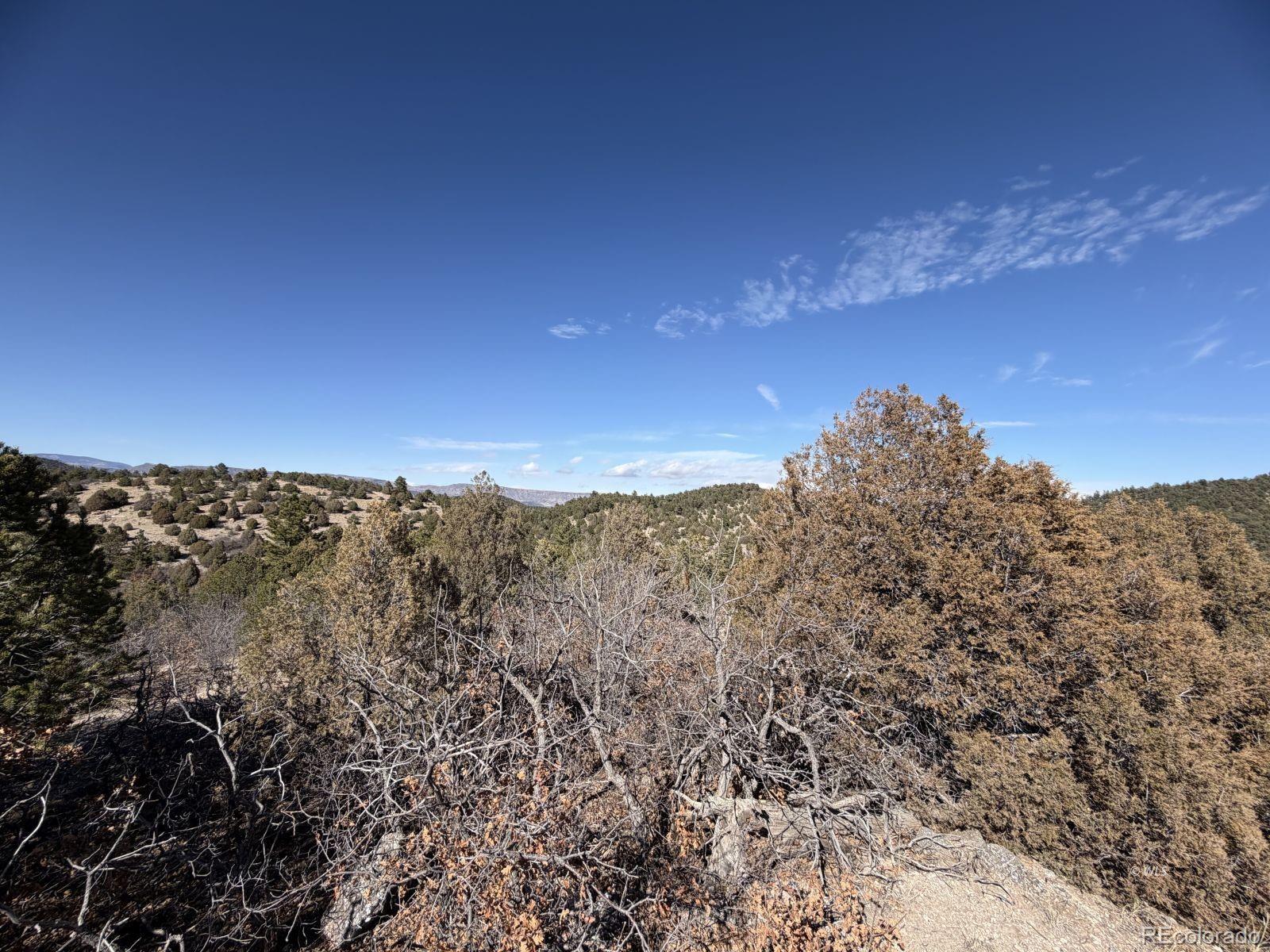 3412 Indian Wells Road Cotopaxi CO 81223