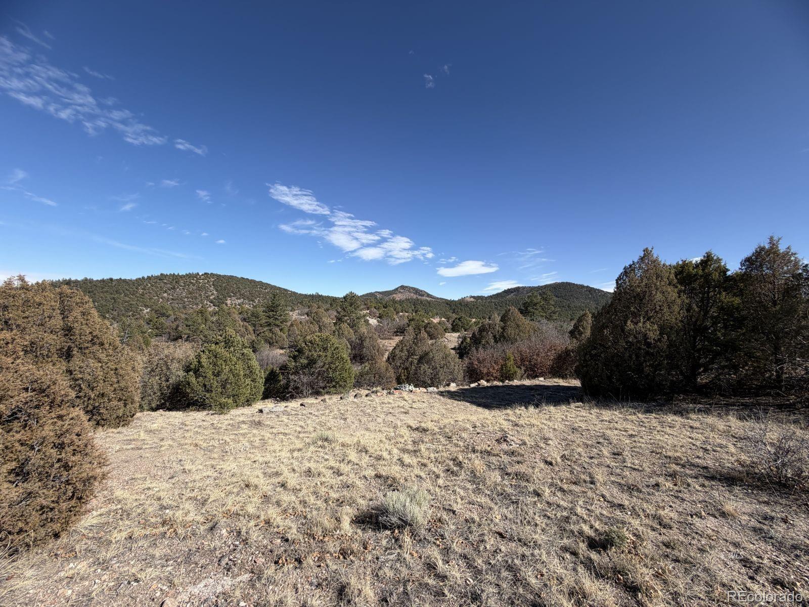 3412 Indian Wells Road Cotopaxi CO 81223