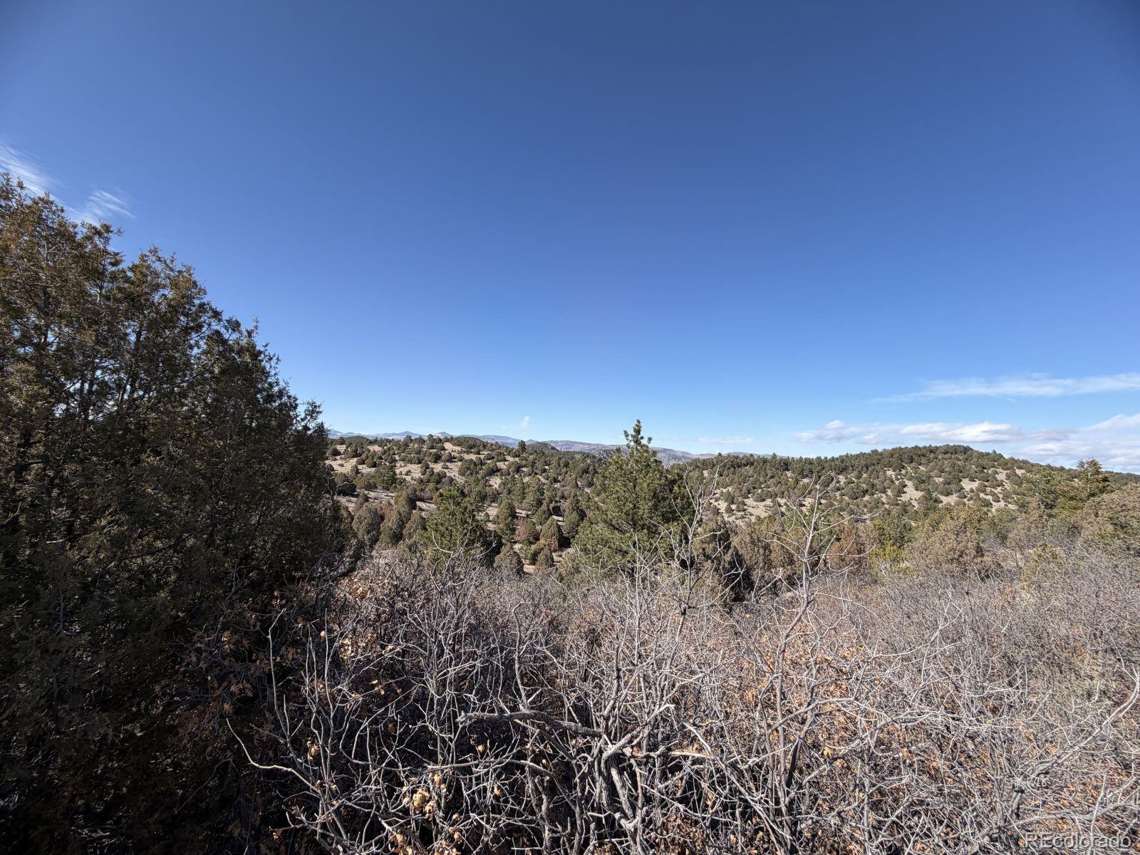 3412 Indian Wells Road Cotopaxi CO 81223