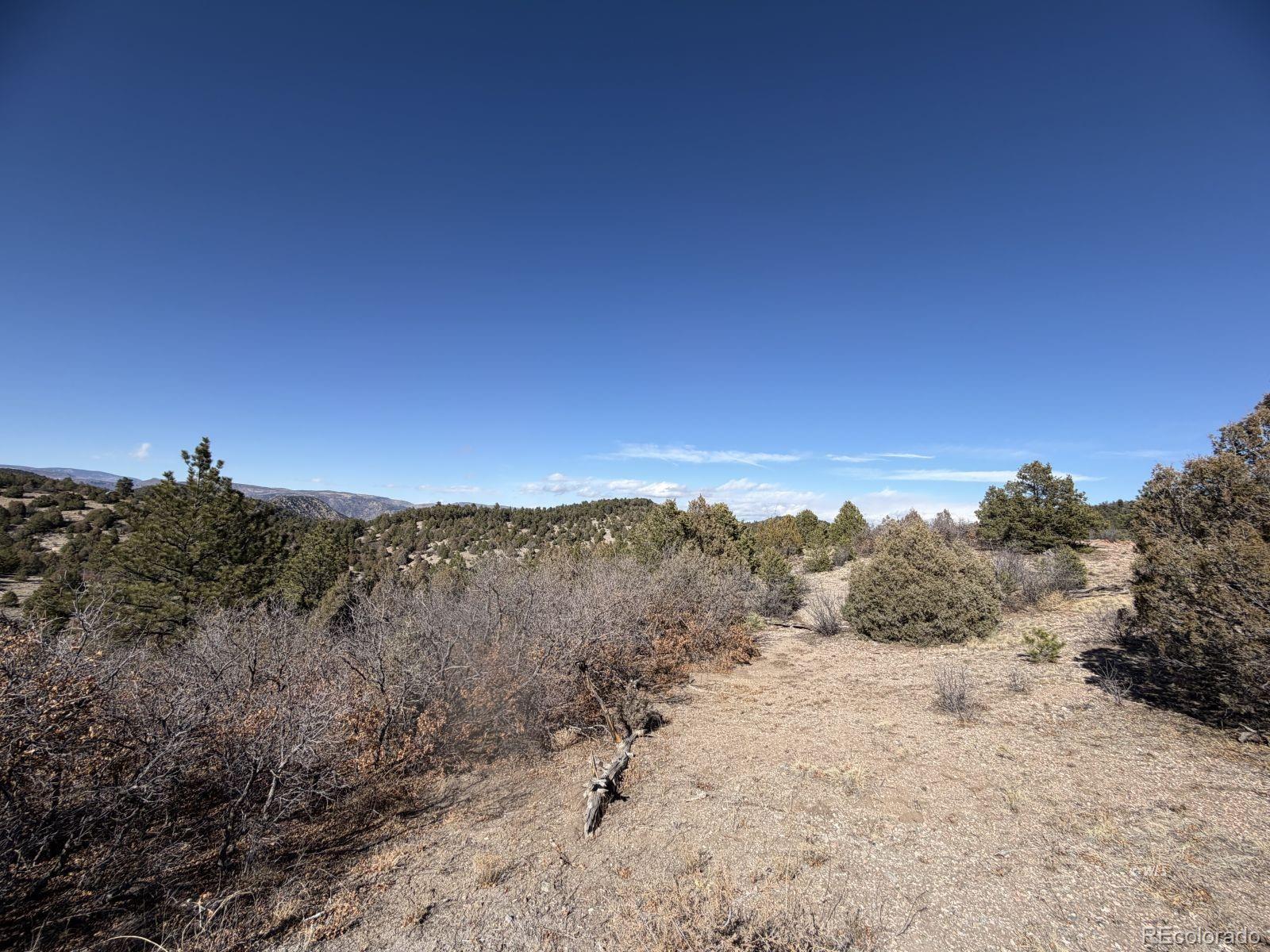 3412 Indian Wells Road Cotopaxi CO 81223