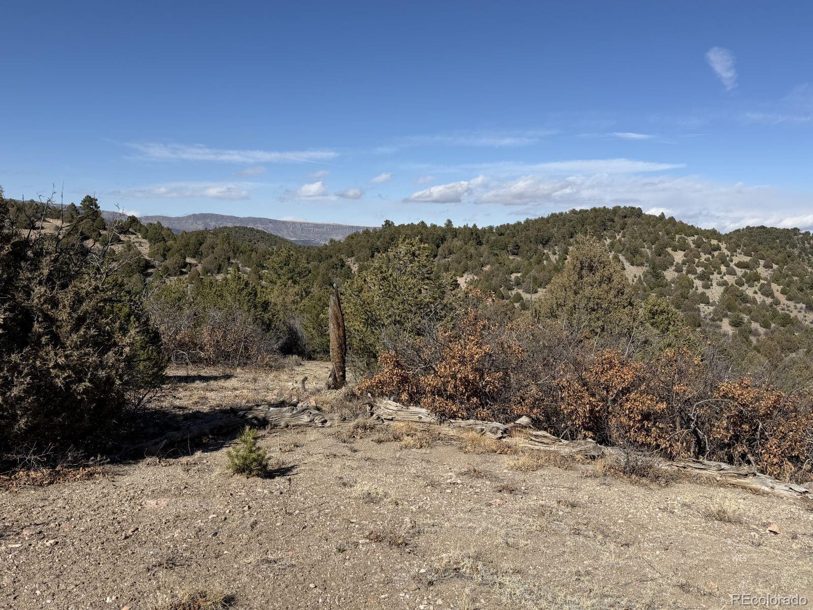 3412 Indian Wells Road Cotopaxi CO 81223