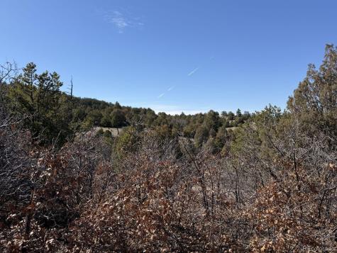 3412 Indian Wells Road Cotopaxi CO 81223