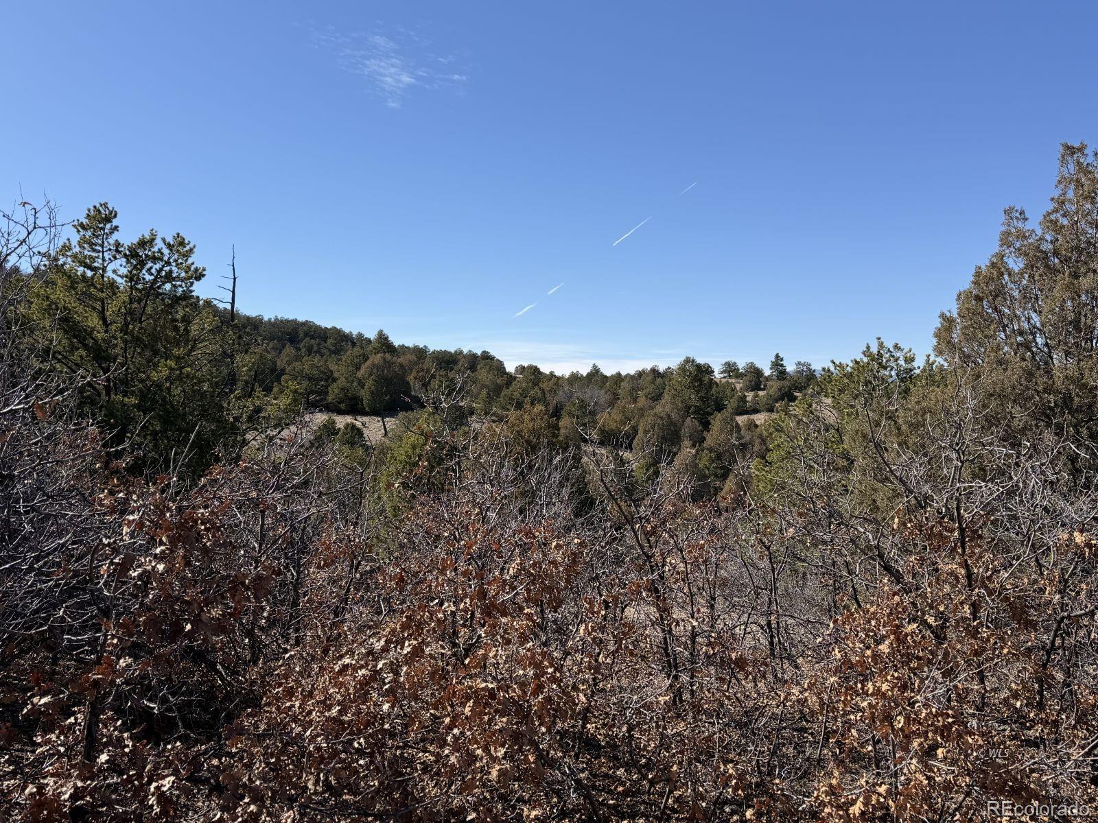 3412 Indian Wells Road Cotopaxi CO 81223