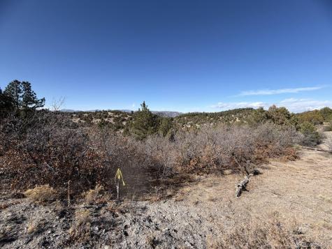 3412 Indian Wells Road Cotopaxi CO 81223