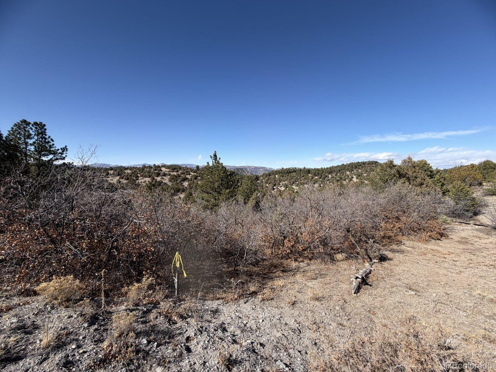 3412 Indian Wells Road Cotopaxi CO 81223